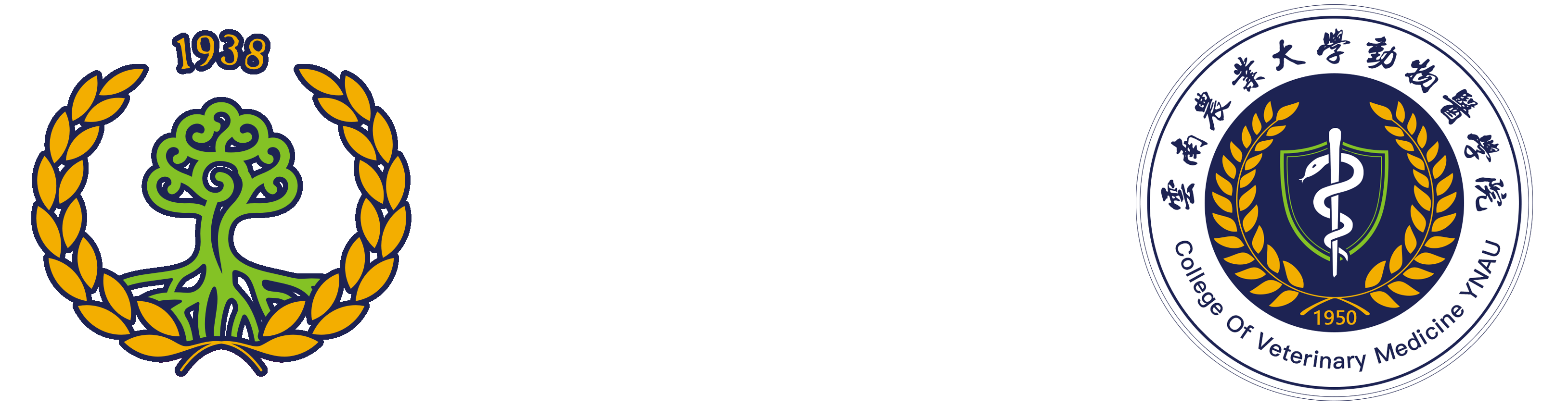 z6mg人生就是博官网